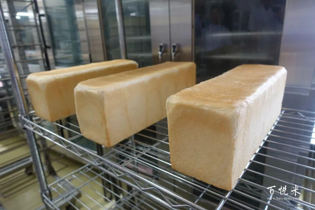 零基礎(chǔ)的新手小白怎么烘焙？看完這篇就夠了